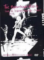 Boomtown Rats - Live At Hammersmith Odeon