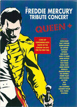 Queen - Freddie Mercury Tribute..
