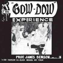Prof. James Benson - Gow-Dow Experience
