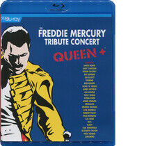 Queen - Freddie Mercury Tribute..