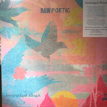 Raw Poetic and Damu the F - Laminated Skies-Coloured-
