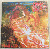 Morbid Angel - Blessed Are.. -Reissue-
