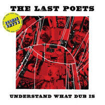 Last Poets - Understand What Dub is