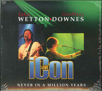 Icon - Never In a Million Years