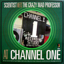 Scientist - Meets the Crazy Mad Profe