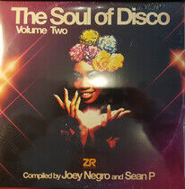 V/A - Soul of Disco Vol.2