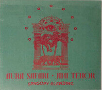 Aura Safari & Jimi Tenor - Sensory Blending