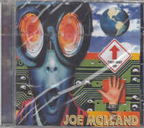 Molland, Joey - This Way Up
