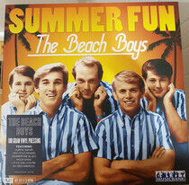Beach Boys - Rise of the Surf.. -Hq-