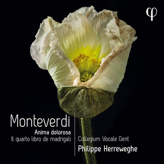Collegium Vocale Gent / P - Monteverdi: Il Quarto..