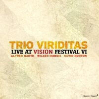 Harth, Alfred -Trio- - Live At Vision Festival..