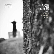 Gallo, Danilo - Dark Dry Tears - a View..