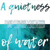 V/A - A Quietness of Water