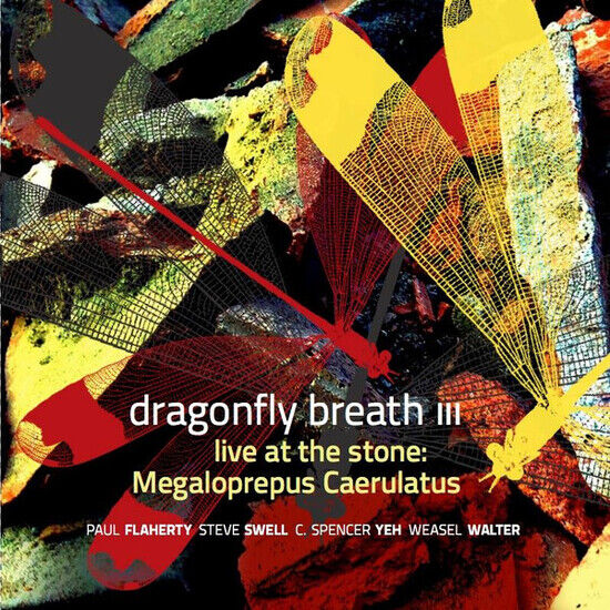 Dragonfly Breath Iii - Live At the Stone:..