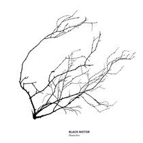 Black Motor - Branches