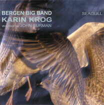 Krog, Karin - Seagull