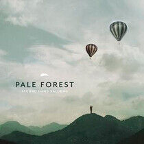 Pale Forest - Second Hand Balloons