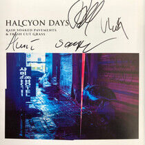 Halcyon Days - Rain Soaked Pavements &..
