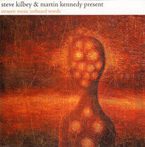 Kilbey, Steve & Martin Ke - Unseen Music Unheard..