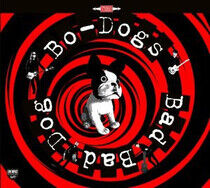 Bo- Dogs - Bad Bad Dog