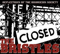 Bristles - Reflections of the..