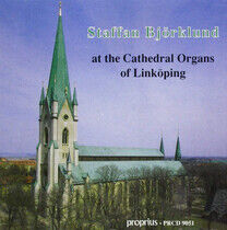 Bjorklund, Staffan - The Little Organ Book/Lil