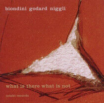 Biondini/Godard/Niggli - What is There What is Not