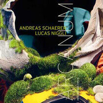 Schaerer, Andreas/Lucas N - Arcanum