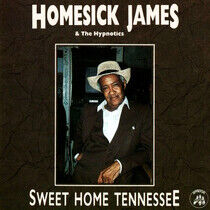 Homesick James & Hypnotic - Sweet Home Tennessee