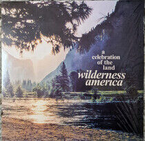 V/A - Wilderness America, A..