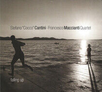 Cantini, Stefano / France - Falling Up