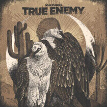 True Enemy - Vultures