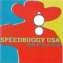 Speedbuggy Usa - Valle De La Muerta