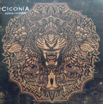 Ciconia - Animal Chapters