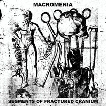 Macromenia - Segments of Fractured..