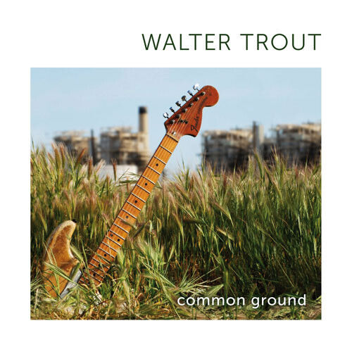 Trout, Walter - Common Ground