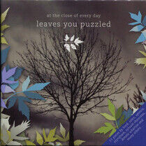 At the Close of Every Day - Leaves You Puzzled