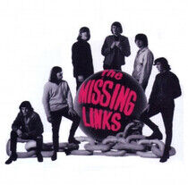 Missing Links - Driving You Insane