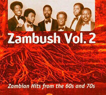 V/A - Zambush Vol.2 -Digi-
