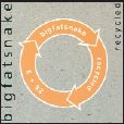 Big Fat Snake: Recycled (2xCD)