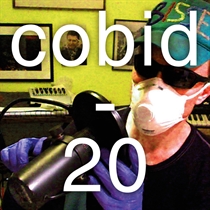 Bisse: cobid-20 (Vinyl)