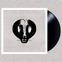 Bullet For My Valentine: Bullet For My Valentine (Vinyl)