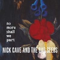 Nick Cave & The Bad Seeds - No More Shall We Part - LP VINYL