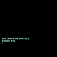 Cave, Nick & The Bad Seeds: Skeleton Tree (CD)