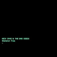 Nick Cave & The Bad Seeds: Skeleton Tree (CD)