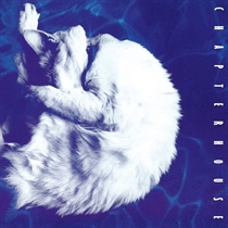 Chapterhouse: Whirlpool (Vinyl)