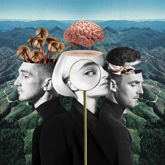 Clean Bandit: What Is Love? (CD)