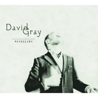 Gray, David: Foundling