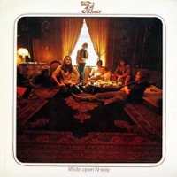 Day Of Phoenix: Wide Open N-Way (Vinyl)
