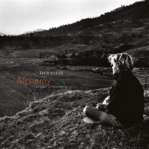 Sylvian, David: Alchemy - An Index Of Possibilities (Vinyl) 